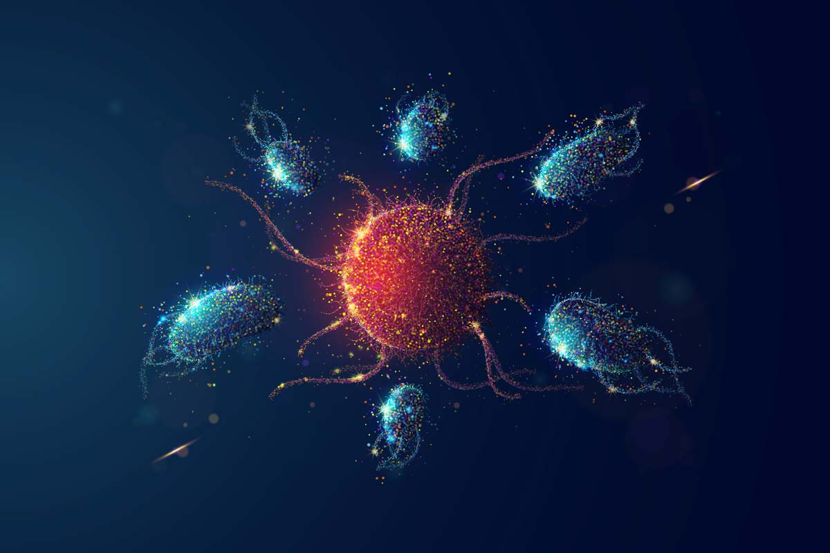 What is Cell Fractionation? Modern Biology, Inc.